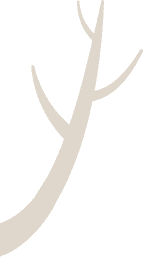 Branch decoration